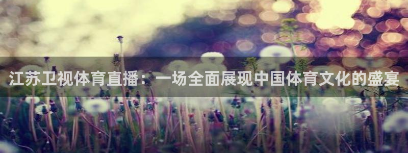 江苏卫视体育直播：一场全面展现中国体育文化的盛宴
