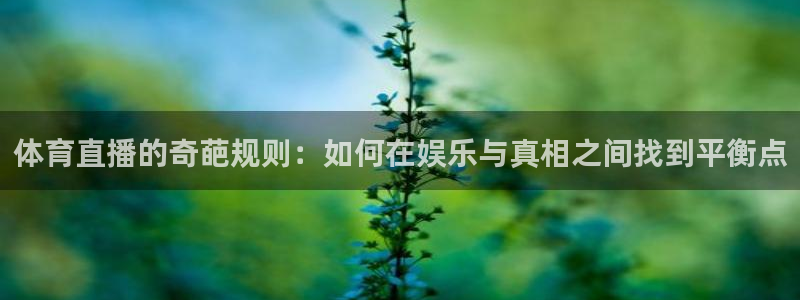 体育直播的奇葩规则：如何在娱乐与真相之间找到平衡点