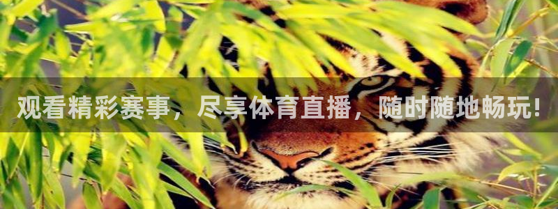 观看精彩赛事，尽享体育直播，随时随地畅玩!