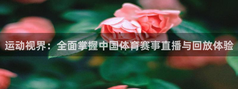 运动视界：全面掌握中国体育赛事直播与回放体验