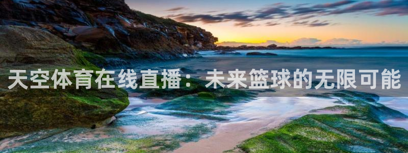 天空体育在线直播：未来篮球的无限可能