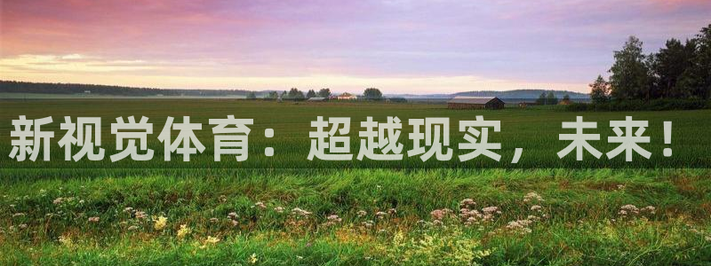 新视觉体育：超越现实，未来！