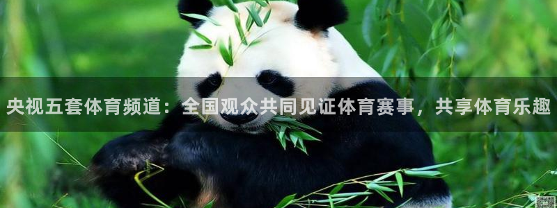 央视五套体育频道：全国观众共同见证体育赛事，共享体育乐趣