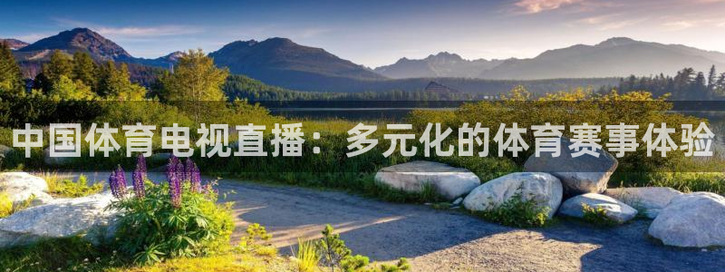 中国体育电视直播：多元化的体育赛事体验