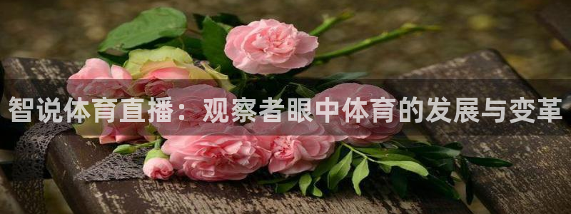 智说体育直播：观察者眼中体育的发展与变革