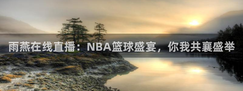 雨燕在线直播：NBA篮球盛宴，你我共襄盛举