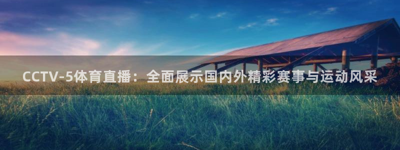 CCTV-5体育直播：全面展示国内外精彩赛事与运动风采