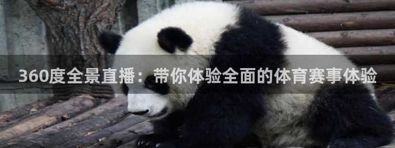 360度全景直播：带你体验全面的体育赛事体验