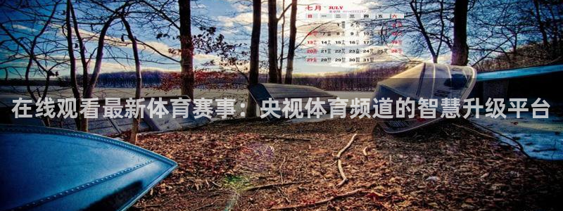 在线观看最新体育赛事：央视体育频道的智慧升级平台