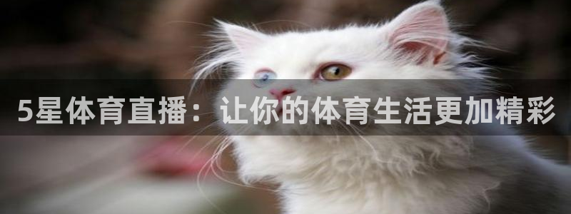 5星体育直播：让你的体育生活更加精彩