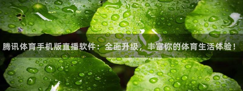 腾讯体育手机版直播软件：全面升级，丰富你的体育生活体验！