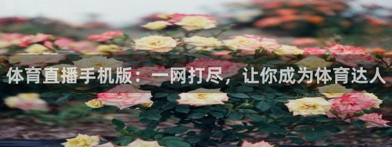 体育直播手机版：一网打尽，让你成为体育达人