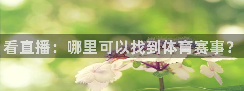 看直播：哪里可以找到体育赛事？