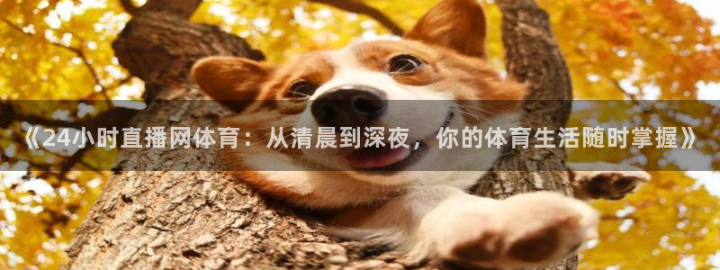 《24小时直播网体育：从清晨到深夜，你的体育生活随时掌握》