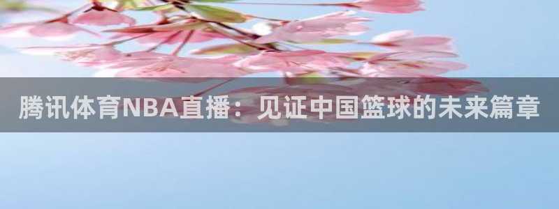 腾讯体育NBA直播：见证中国篮球的未来篇章