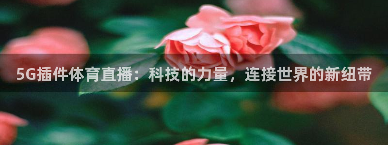 5G插件体育直播：科技的力量，连接世界的新纽带