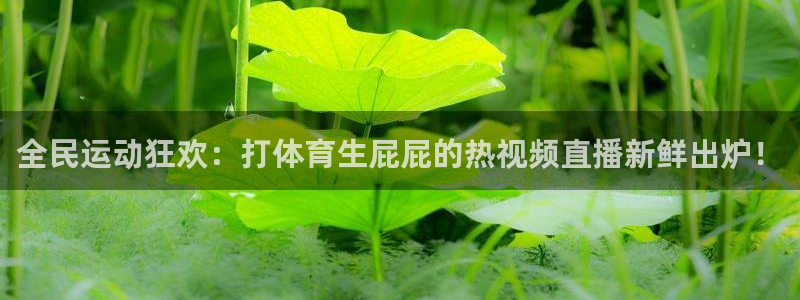 全民运动狂欢：打体育生屁屁的热视频直播新鲜出炉！