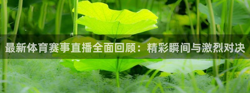 最新体育赛事直播全面回顾：精彩瞬间与激烈对决