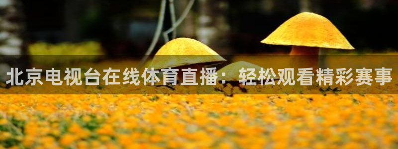 北京电视台在线体育直播：轻松观看精彩赛事