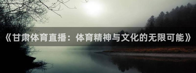 《甘肃体育直播：体育精神与文化的无限可能》