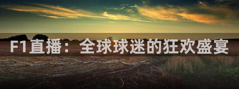 F1直播：全球球迷的狂欢盛宴