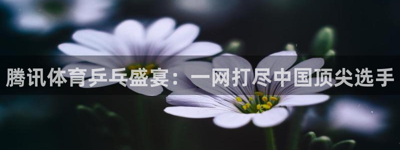 腾讯体育乒乓盛宴：一网打尽中国顶尖选手