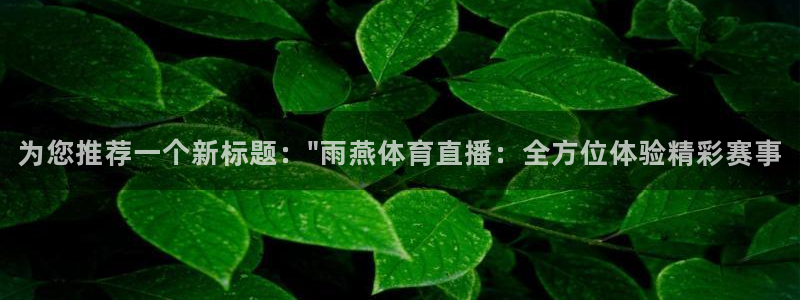 为您推荐一个新标题：\