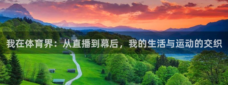 我在体育界：从直播到幕后，我的生活与运动的交织