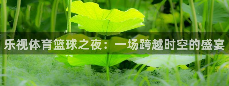 乐视体育篮球之夜：一场跨越时空的盛宴