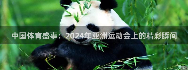 中国体育盛事：2024年亚洲运动会上的精彩瞬间
