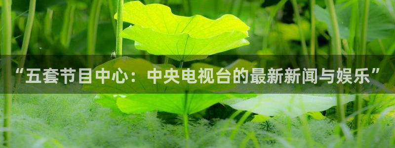 “五套节目中心：中央电视台的最新新闻与娱乐”