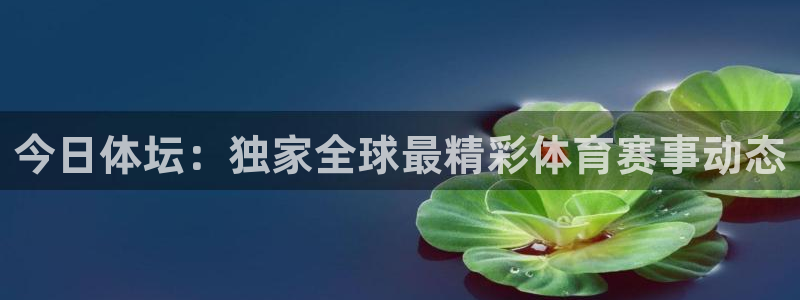 今日体坛：独家全球最精彩体育赛事动态